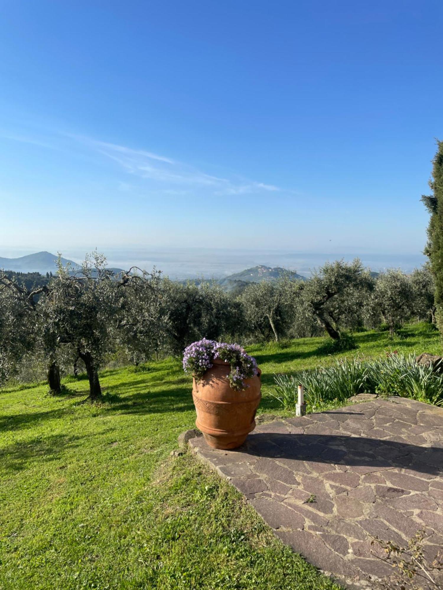 Podere Il Poggio Avaglio Экстерьер фото